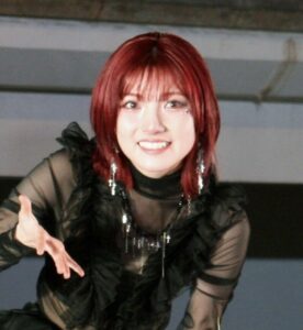 岡田奈々の２月開始のライブツアーが、