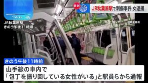 秋葉原駅で20代女が刃物で次々刺して、