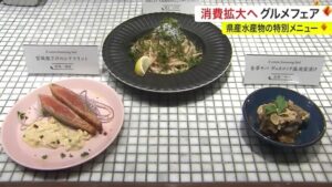 「シラスと大葉が合う」グルメフェアが、